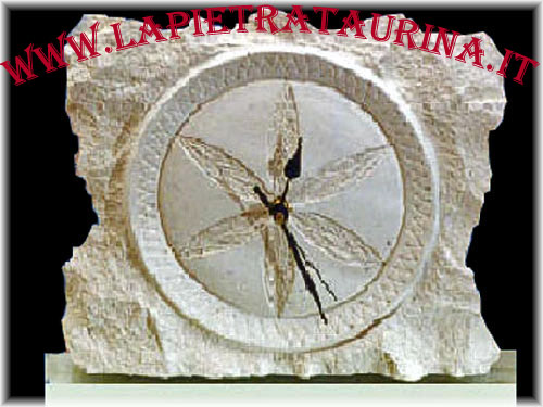 Stone clocks