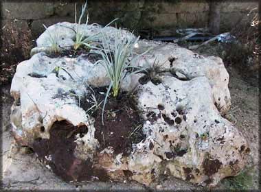 Stones for the garden