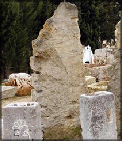 Ornamental stones for the garden
