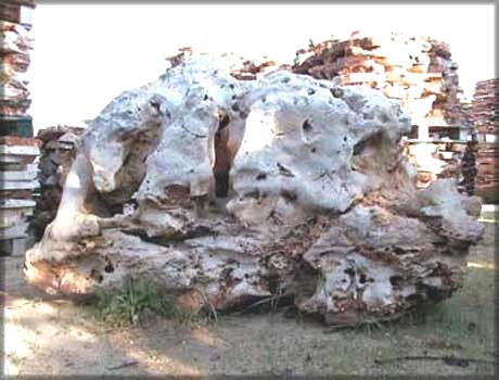 Ornamental stones for the garden